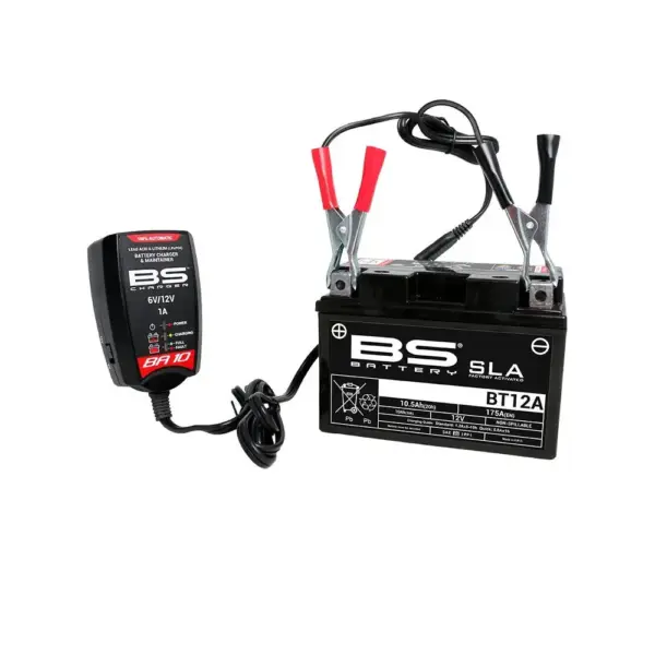 Cargador y Mantenedor Automático de Baterías 6V y 12V - 1 A - Imagen 3