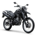 XTZ 250 A - Imagen 6