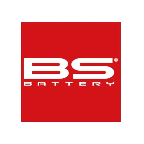 Cargador y Mantenedor Automático de Baterías 6V y 12V - 1 A - Imagen 5