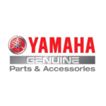 Guia de Cadena de Distribución Yamaha FZ1 Fazer - Image 2