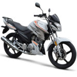 Zapata de Freno Trasero Yamaha YBR 125 - Image 3
