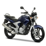 Filtro de Aire Yamaha YS - YBR - Imagen 4