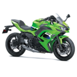 Pedalin Delantero Derecho Kawasaki - Imagen 3