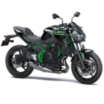 Pedalin trasero Derecho Kawasaki - Imagen 4