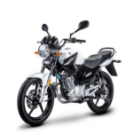 Giro Trasero Izquierdo Yamaha YBR 125 - YS - Imagen 3